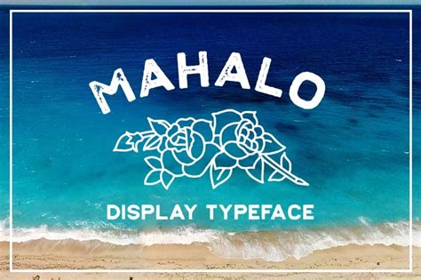 36 Beach Fonts for the Perfect Tropical Look | HipFonts