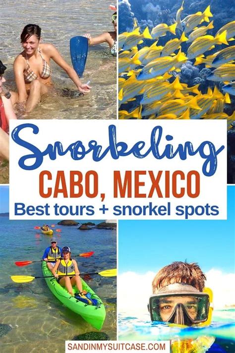 Where can you find the best snorkeling in Cabo San Lucas, Mexico? What are the best snorkeling ...