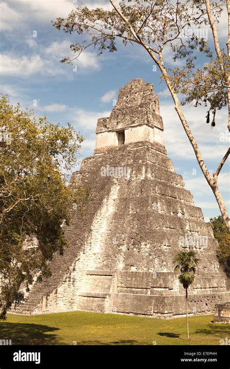 Las ruinas Mayas en Tikal, Guatemala Fotografía de stock - Alamy