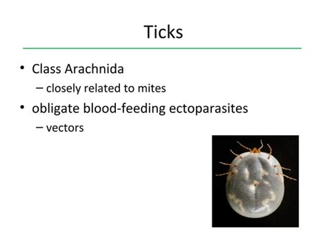 Tick and Disease caused by them.