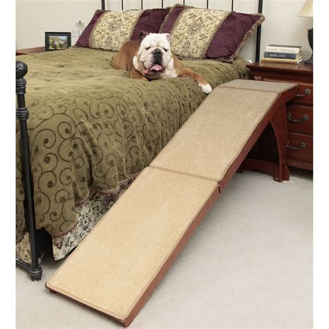 50+ Dog Ramp For Bed You'll Love in 2020 - Visual Hunt