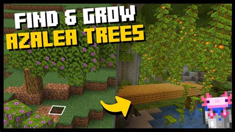 How to FIND & GROW AZALEA TREES in Minecraft! Snapshot 21w16a Review ...