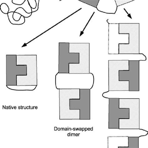 (PDF) Protein Folding