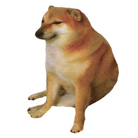 49+ Doge Meme Template Cheems Png