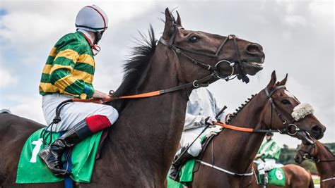 Can Jockeys, Trainers & Owners Bet On Horse Races? | BetMGM