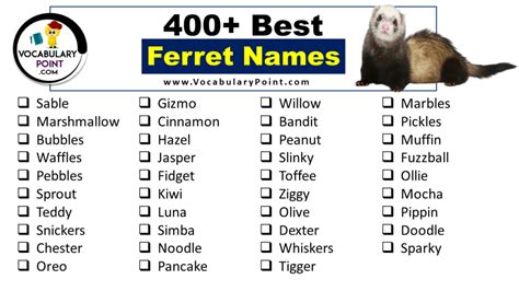 450+ Best Ferret Names (Cute, Cool and Pet) - Vocabulary Point