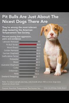 Pit Bull Facts