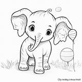 Baby Elephant Coloring Pages  Free & Printable sketch template