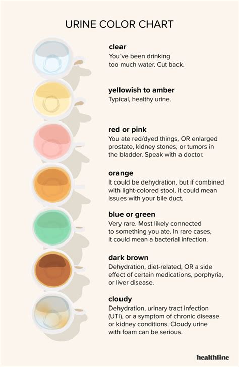 What Does The Colour Of Your Urine Imply? - shesuccessful.com