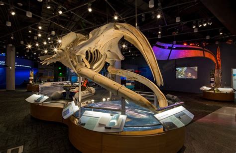 » Nature Research Center North Carolina Museum of Natural Sciences