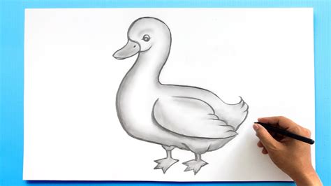 Share 150+ easy simple duck drawing latest - seven.edu.vn