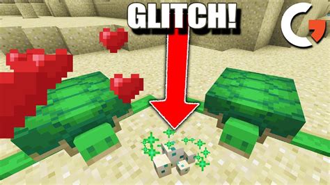 How do you get a pet turtle in Minecraft? - Rankiing Wiki : Facts ...