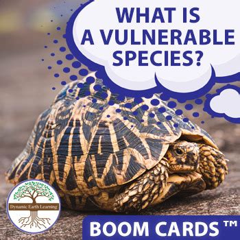 What is a Vulnerable Species? | Boom™ Learning Cards by Dynamic Earth ...