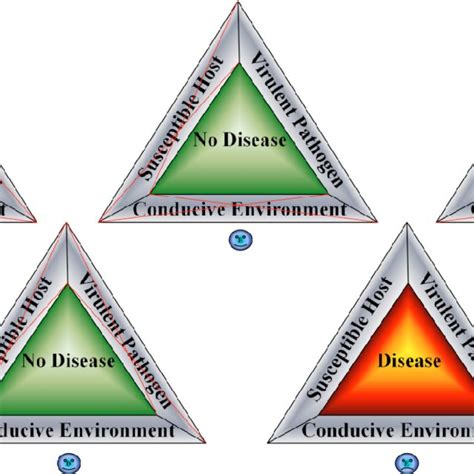 (PDF) Plant Disease Epidemiology: Disease Triangle and Forecasting ...