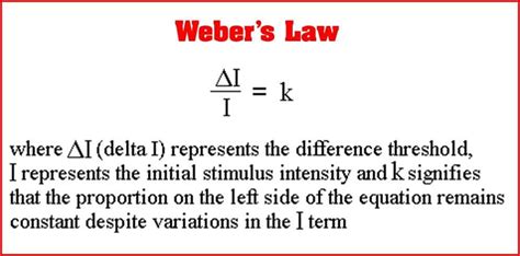 Weber’s Law of Just Noticeable Differences | by Kellie Carlson | Medium