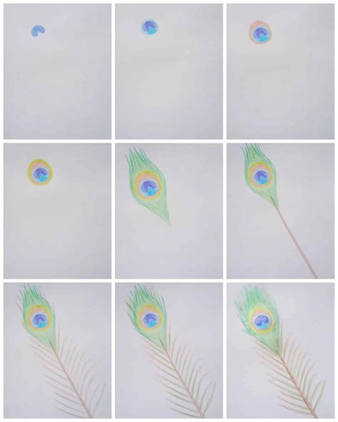 How To Draw A Peacock Feather With Watercolour Pencils - Birch And Button