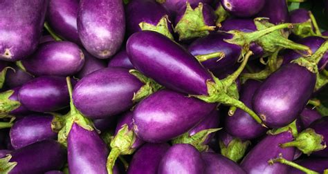 Purple Vegetables: Why You Should Eat These 10 Powerful Veggies