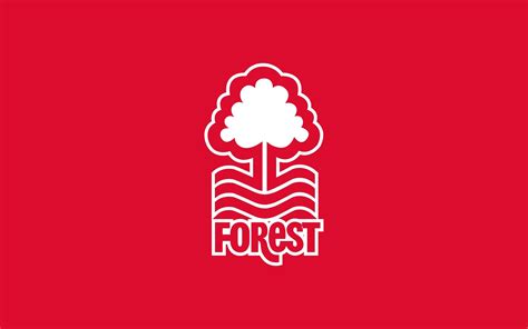 Nottingham Forest Primary logo t shirt iron on transfers ...