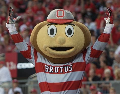 Brutus Buckeye - Wikipedia