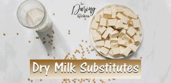 Best Dry Milk Substitutes - Daring Kitchen