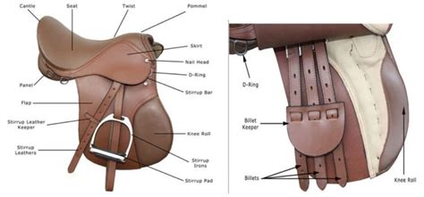 The 15 Parts of English Saddle You Should Know | Horse is Love