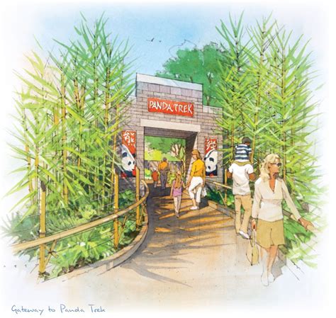 San Diego Zoo - Panda Trek Concept Sketch | Zoo pictures, Zoo ...