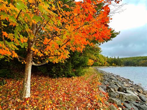 The Absolute Best Hiking Trails Near Deep Creek Lake - Sunshine Whispers