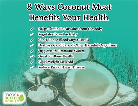 Health Nutritional Benefits Of Raw Coconut Meat | Besto Blog