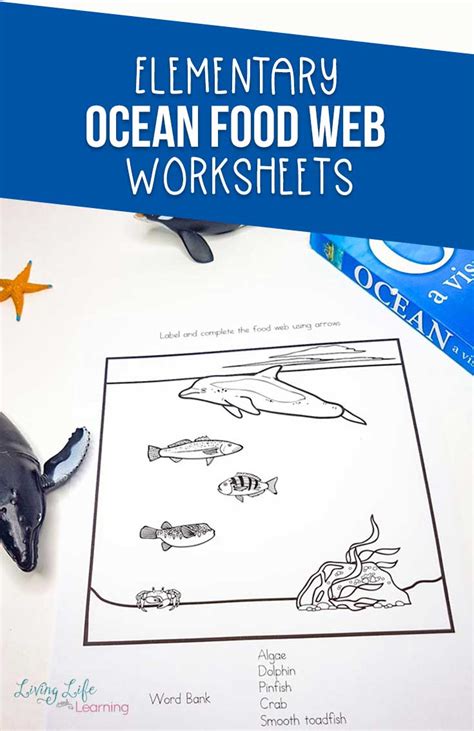 Ocean Food Web Worksheets: Exploring Ecosystems of the Sea