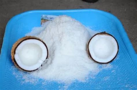 Dried Coconut Powder at Rs 165/kg | Dry Coconut Powder in Tiptur | ID: 23177792333