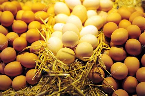 Farm Fresh Chicken Eggs — Stock Photo © vipavlenkoff #29554531