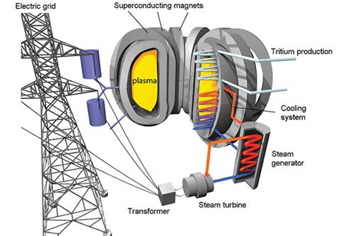 Our fusion energy research | Dutch Institute for Fundamental Energy Research