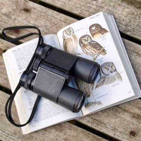 Backyard Bird Watching Essential Gear for Beginners - Fantastic & Amazing Guide