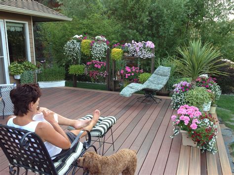 Tracy's plants on back deck | Plants on deck, Patio container gardening ...