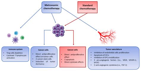 JCM | Free Full-Text | Metronomic Chemotherapy in Pediatric Oncology: From Preclinical Evidence ...