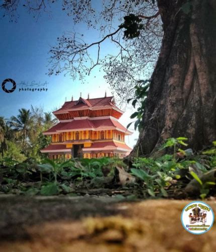 Most Famous Temples in Thrissur | Guruvayur Temple | Discover my India