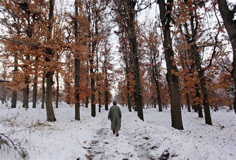 Stunning visuals of snowfall in Kashmir