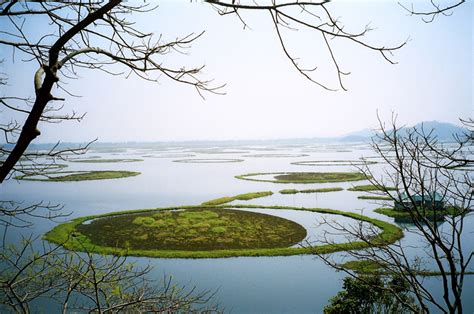 (Photo: Sangeeta Angom, Loktak Lake, Manipur)