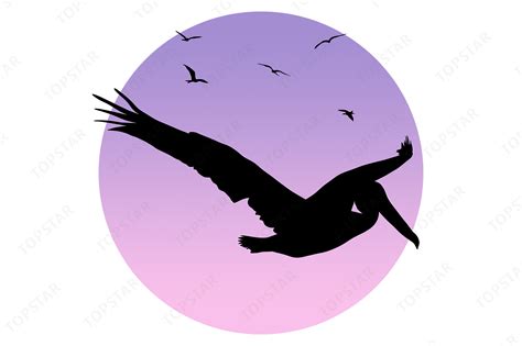 Pelican Silhouette Flying Bird Design Graphic by Topstar · Creative Fabrica