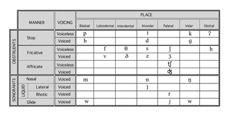 English Consonants Articulation Chart