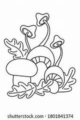 Coloring Book Children Pelican Sore Throat Stock Vector Royalty Free  sketch template
