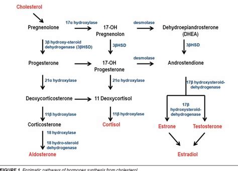 Figure 2 from SMITH-LEMLI-OPITZ SYNDROME. CASE REPORT | Semantic Scholar