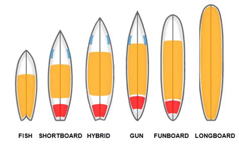 Board types - Surfing