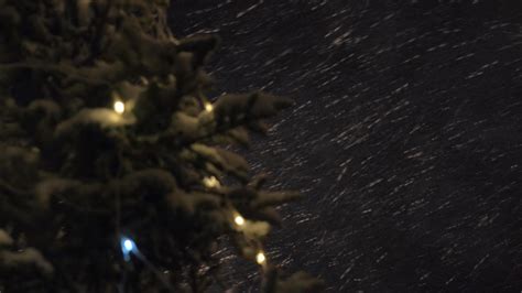 Snowstorm and Christmas tree at night 29719436 Stock Video at Vecteezy