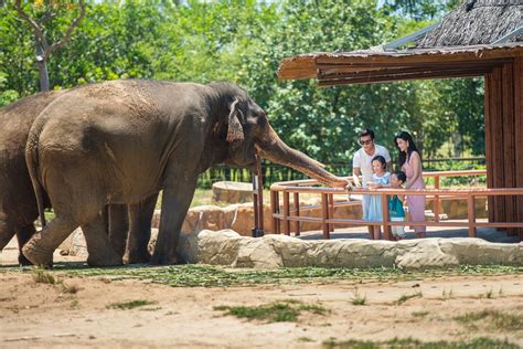 Best Places to See Wildlife in Vietnam