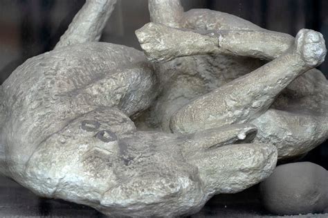 12 Amazing Facts About the Preserved Pompeii Bodies