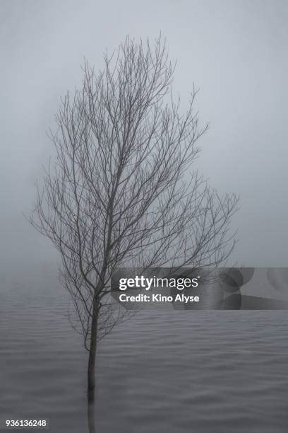 87 Matese Mountains Stock Photos, High-Res Pictures, and Images - Getty Images