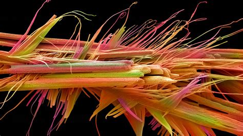 10 Of The Year’s Most Amazing Science Photos