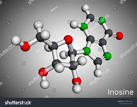 82 Inosinate Molecule Images, Stock Photos & Vectors | Shutterstock