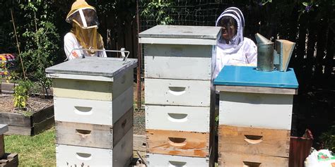 Introduction to Backyard Beekeeping – BioFuel Oasis